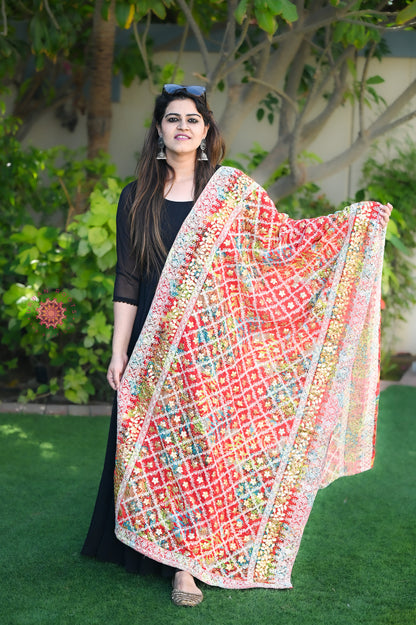 Gota Work Georgette Dupatta