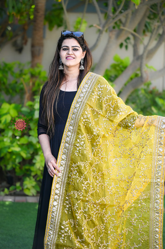 Zari Work Organza Dupatta